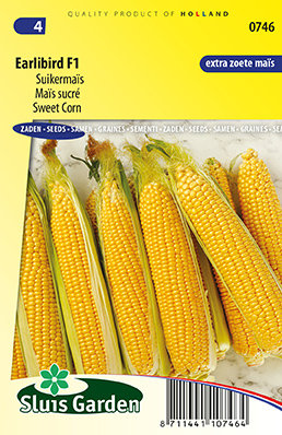 vloot Terzijde Aanval Suikermaïs zaden kopen, Earlibird F1 | Moestuinland