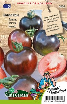 Tomaten zaden kopen, Indigo Rose (roze tomaten) | Moestuinland