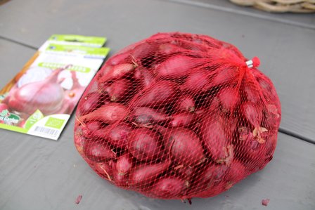Plantuien kopen, Rode Baron (500 gram) | Moestuinland