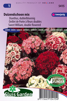 Duizendschoon dubbelbloemige zaden kopen, Dianthus mix | Moestuinland