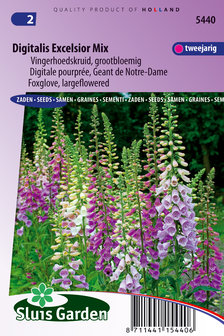 Vingerhoedskruid zaden kopen, Excelsior Digitalis Mix | Moestuinland