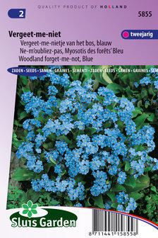 Vergeet-me-niet zaden kopen, Blauw Myosotis sylvatica | Moestuinland