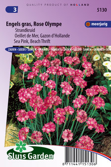 Engels gras zaden kopen, Rose Olympe Strandkruid | Moestuinland