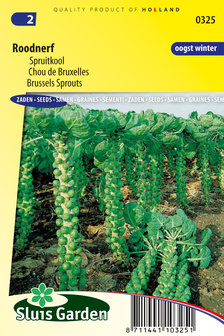 Spruitkool zaden kopen, Roodnerf spruiten | Moestuinland