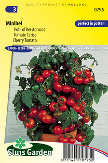minibel tomaten zaden kopen | Moestuinland