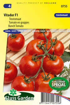 Tomaten zaden kopen, Vitador F1 | Moestuinland