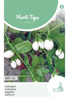 White Eggs Aubergine zaden kopen, Witte Aubergines | Moestuinland 12074