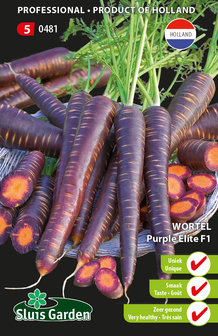 Paarse wortels zaad kopen, Purple Elite F1 PRO Sluis Garden | Moestuinland