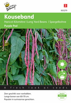 Kouseband zaden kpoen, purple pod | Moestuinland