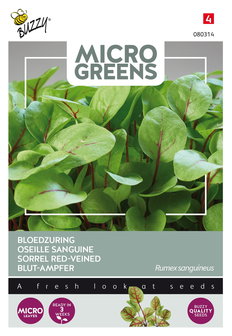Bloedzuring zaden Kopen, Micro Greens | Moestuinland
