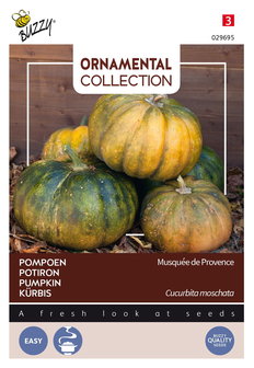 Pompoen zaden kopen, Musq&eacute;e de Provence Ornamental Collection | Moestuinland