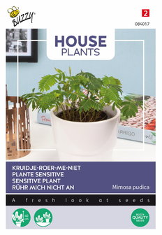 Kruidje-roer-me-niet zaden kopen, Mimosa pudica | Moestuinland