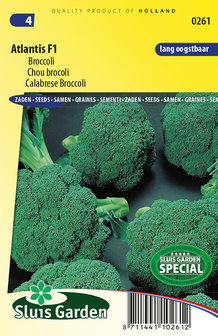 zaden voor atlantis f1 broccoli kopen bij moestuinland
