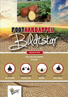 Pootaardappels kopen, Bildtstar (1kg) | Moestuinland
