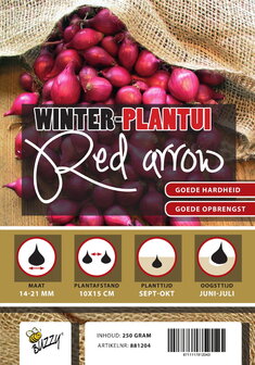 Rode Plantuien kopen, Red Arrow | Moestuinland