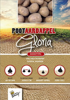Pootaardappels kopen, Glora (1kg) | Moestuinland