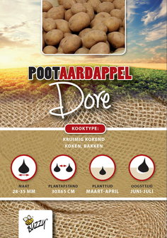 Pootaardappel Dore kopen, 1 kilogram | Moestuinland