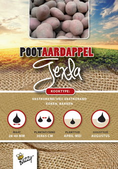 Texla pootaardappels kopen, 1 kg aardappel | Moestuinland
