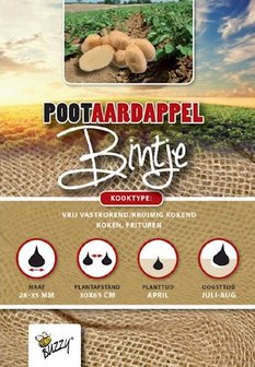 Pootaardappel Bintje 1KG kopen, Aardappels pootgoed | Moestuinland