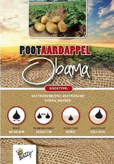 obama pootaardappel kopen voor je moestuin bij moestuinland