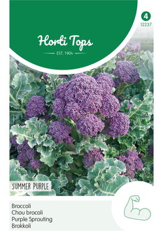Broccoli zaden kopen, Summer Purple (paars) | Moestuinland