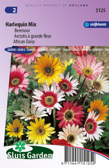 Berenoor zaden kopen, Harlequin Mix (Arctotis acaulis) | Moestuinland