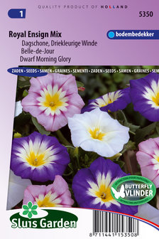 Dagschone zaden, Driekleurige Winde (Concolvulus tricolor) Royal Ensign mix | Moestuinland