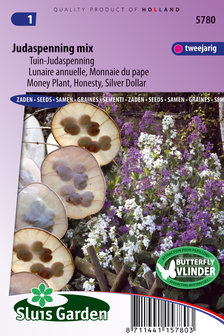 Judaspenning zaden kopen, Tweejarig bloemenzaad Lunaria annua | Moestuinland
