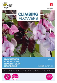 Hyacintboon zaden kopen, Lablab Purpreus ( Violet) | Moestuinland