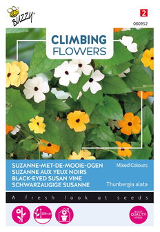 Suzanne-met-de-mooie-ogen zaden kopen, Thunbergia alata | Moestuinland