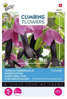 Chinees Purperklokje zaden kopen, rhodochiton atrosanguineus purple bells | Moestuinland