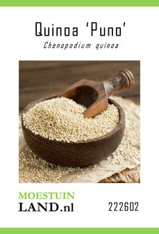 Quinoa zaden kopen, Puno Rijstmelde Quinoazaad | Moestuinland