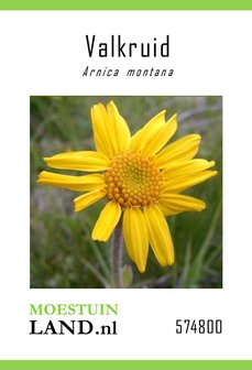 arnica montana zaden kopen, valkruid zaden van moestuinland