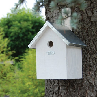 Pimpelnees vogelhuisje bouwen vogelhuis nestkast wit sfeerfoto | Moestuinland