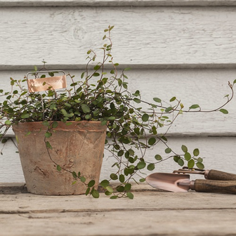 Koper plantlabels kopen, set van 6 nog een sfeerfoot naambordje planten | Moestuinland