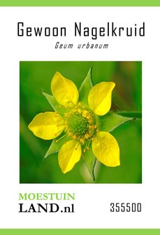 Gewone Nagelkruid zaden kopen, 355500Geum urbanum | Moestuinland