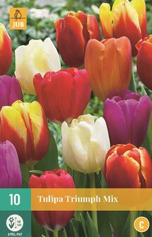 Tulp bloembollen kopen, Triumph Gemengd (Najaar) | Moestuinland