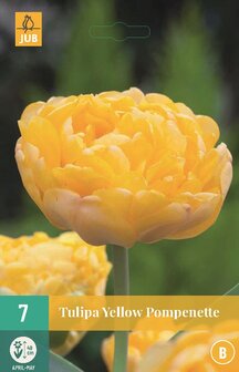 Tulp bloembollen kopen, Yellow Pomponette (Najaar) | Moestuinland