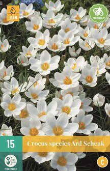 Krokus bloembollen kopen, Ard Schenk Krokus najaar | Moestuinland