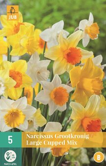 Narcis bloembollen kopen, Grootkronig mix (Najaarsbollen) | Moestuinland