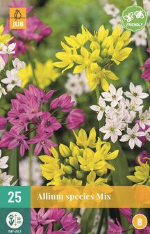 Allium bloembollen kopen, Sieruitjes gemengd (Najaar) | Moestuinland