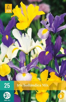 Hollandse Iris bloembollen kopen, Hollandica Mix (15 stuks najaar) | Moestuinland