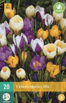Krokus bloembollen kopen, Botanisch gemengd (Najaar) | Moestuinland