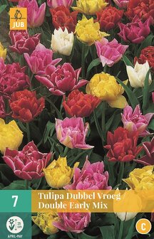 Tulp bloembollen Enkel vroege gemengd (Najaar) | Moestuinland