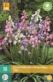 Boshyacinten bloembollen mix kopen, Hyacinthoides hispanica | Moestuinland