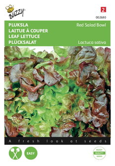 Rode pluksla zaden kopen, Red Salad Bowl Eikenblad sla | Moestuinland