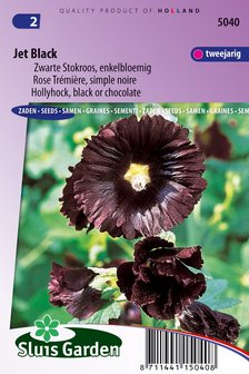 stokroos alcea jet black zaden kopen voor bloemen bij moestuinland