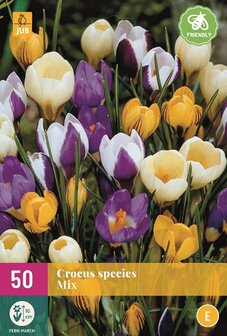 Krokus bloembollen kopen, Botanische mix | Moestuinland