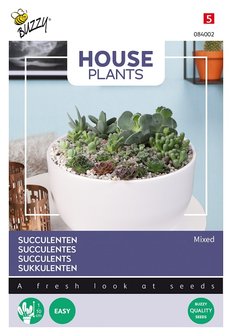 Vetplant zaden kopen, Succulenten mix | Moestuinland