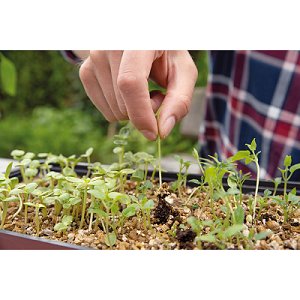 Sfeerfoto vermiculiet kopen bestellen 3,5 liter | Moestuinland